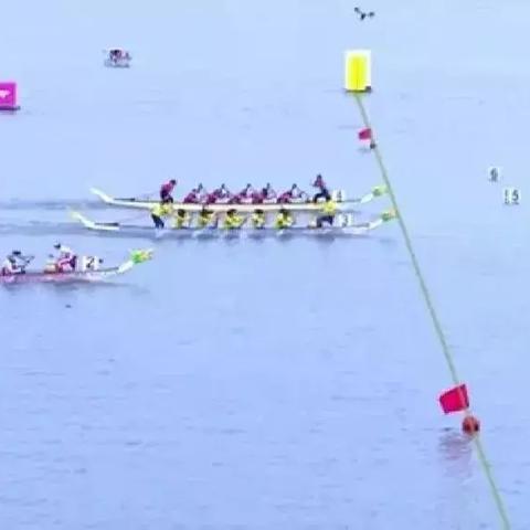 桂冠电力最新新闻动态报道