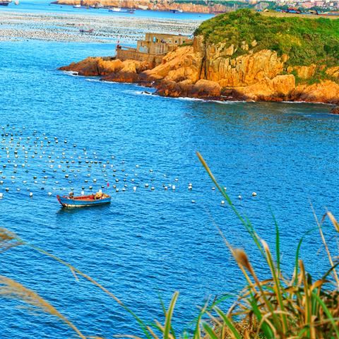 景陶拍岸最新观点，数字真相与未来展望