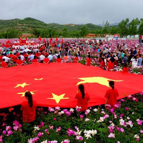 力宝宝最新排行解析,全面解读问道力宝宝排名