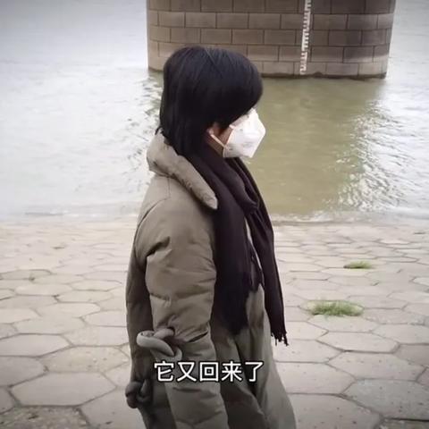 最新的：2025年正版资料免费大全—临期食品风口和食品安全舆情