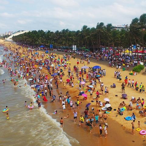 重庆江南机场最新信息全面解析