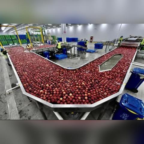 最新的：2025今晚开准确的生肖—转基因松绑和非转溢价