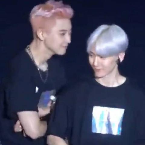 灿白之恋，情侣甜蜜瞬间图片展