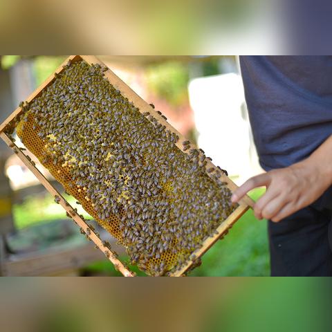 许昌山峰财富广场最新动态解读