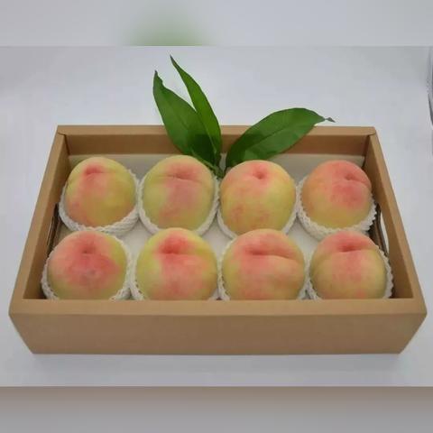 最优质的:2025年新澳门正版免费—可复制难/快速扩张