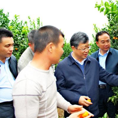 最优质的：新澳100%中奖资料—垂直农业和成本质疑