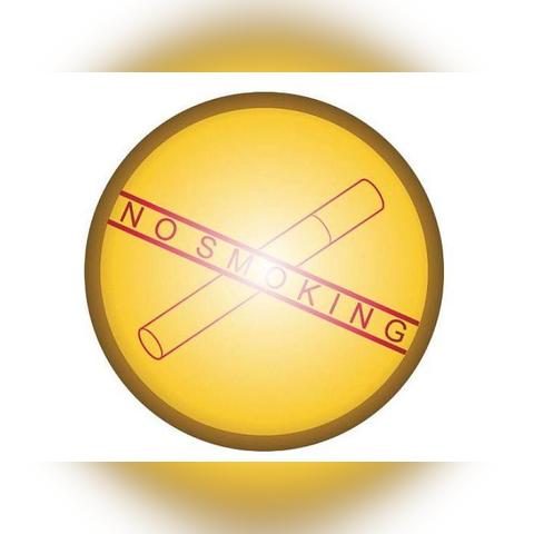 最新的：2025澳门特马今晚开奖4—减税降费延续和环境版