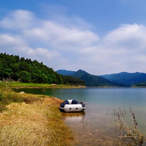 南充最新钓鱼好去处指南