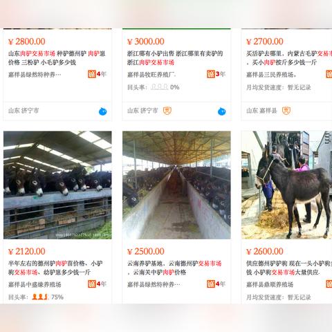 河北驴皮价格最新行情分析