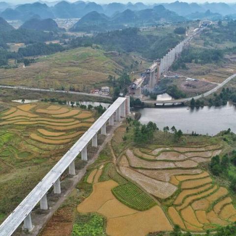 南宁最新车祸事件报告发布(2023年)