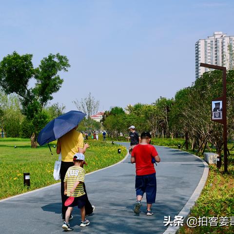 商丘商都公园建设最新进展揭秘