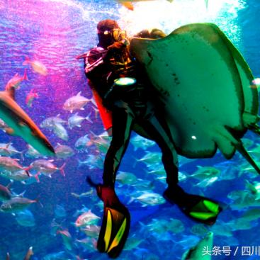 骷髅精灵最新力作深度解析