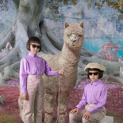 GD最新Ins动态,潮流引领与公益同行