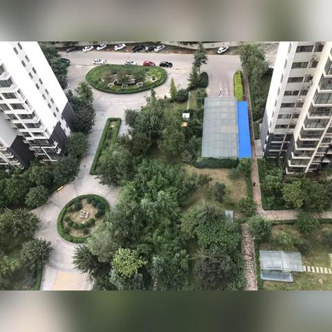 盛世天骄最新章节,科技与文化的交响盛宴