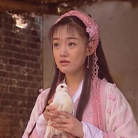 家养鸽子新风尚与关键数据洞察视频揭秘