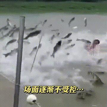 宜城司机招聘启事