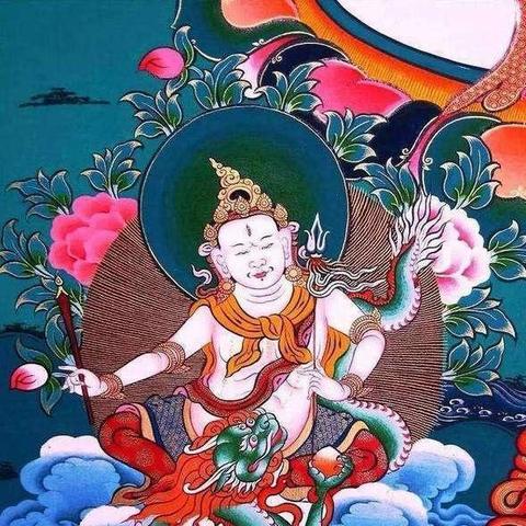 绿财神报彩图数据分析报告最新解读