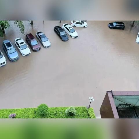 泽国最新地块拍卖，城市发展与数字细节解读