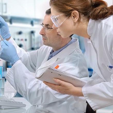 关于99dmdm最新域名全面解析及特点介绍