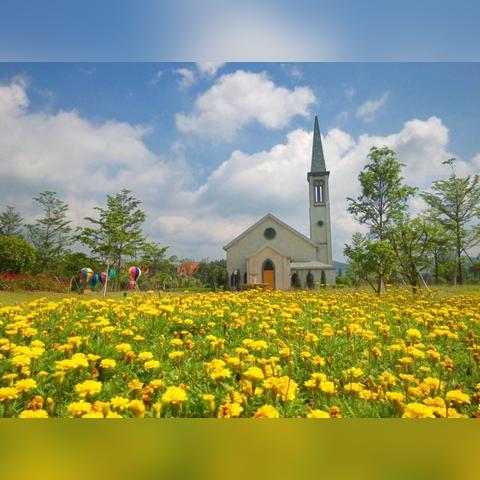 宋隆小镇最新房价走势分析