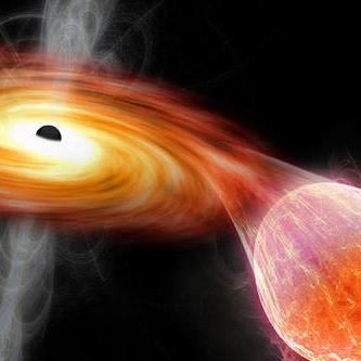 迷雾中的真相揭秘,阴影之主的最新章节