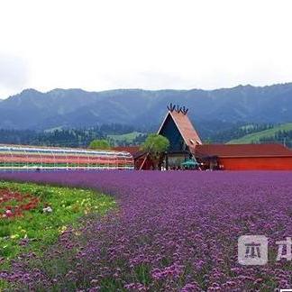 沛县最新人事任命公告发布，职务变动一览