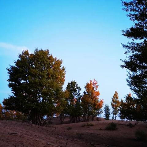 乌审旗领导班子最新成员名单公布