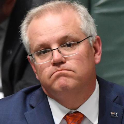 今日盘条价格最新报价分析