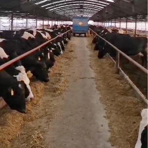 利津房屋最新出售信息与市场行情分析