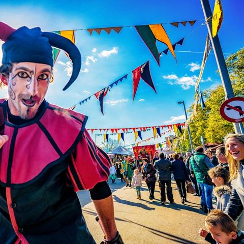 果贷肉肠资源汇总与趋势洞察