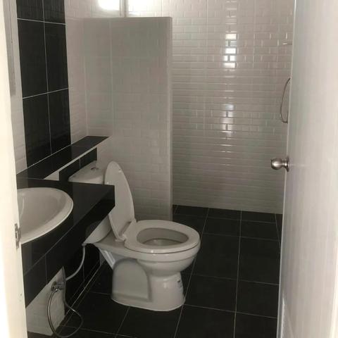 三铢钱最新价格与市场走势解析