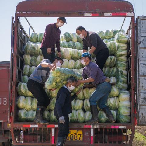 汉寿红网最新资讯动态速递