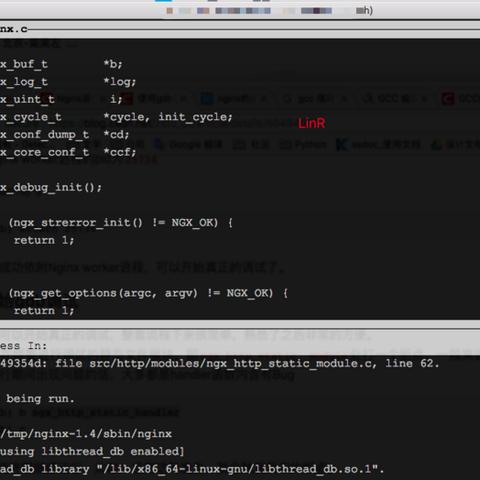 免费X网站域名全解析，最新体验来袭