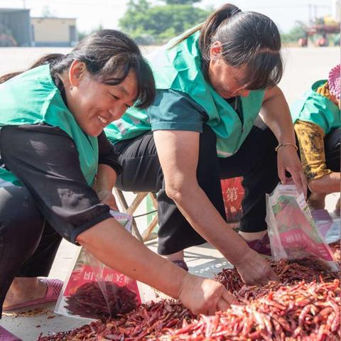 阳谷工厂最新招工信息全解析