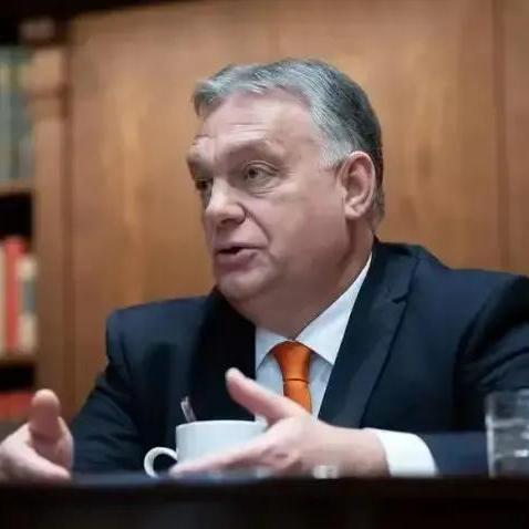 俄罗斯六兄弟最新消息动态