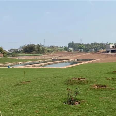 内江钓鱼网,钓鱼爱好者的交流乐园