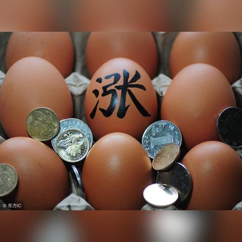 山东鸡蛋最新价格行情及分析预测