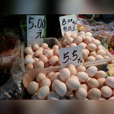 山东鸡蛋最新价格行情及分析预测