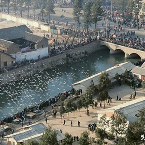 云南钢筋价格今日分析与未来展望