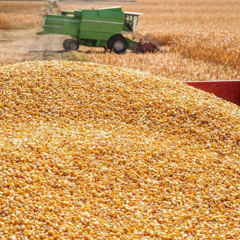 诸城最新招聘信息汇总