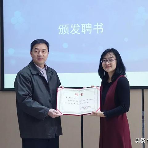 分豆教育行情深度解析