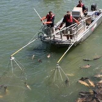 最新海上电鱼视频揭示,科技助力捕捞新趋势