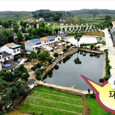 广水陈巷最新新闻报道