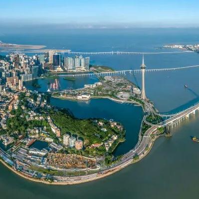 揭秘，最新看片神器功能特点与体验。