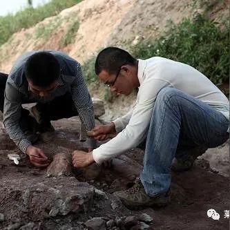 莱阳最新司机招聘启事,优质职位,诚邀加入