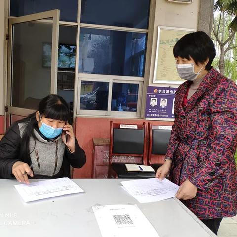 杨凌最新招聘职位解析概览