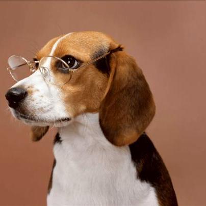 企业沟通革命,内网通最新版的升级之路