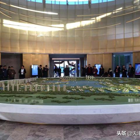 津南楼盘最新解析概览