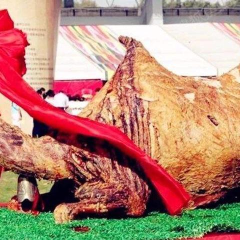 骆驼肉价格最新行情及分析