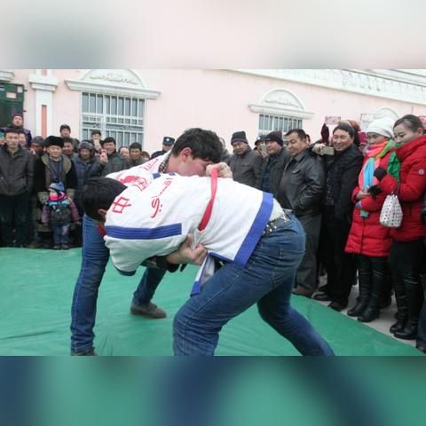 骆驼肉价格最新行情及分析